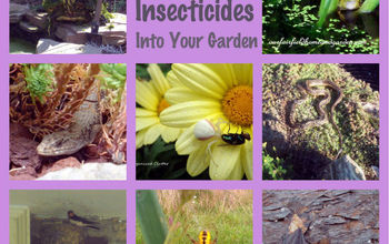 Nature's Insecticides