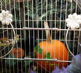fall garden inspiration, gardening, halloween decorations, seasonal holiday d cor, Bird cage vignette