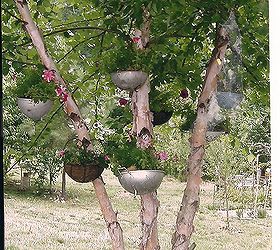 i love collecting many things including colanders, flowers, gardening, My colander tree
