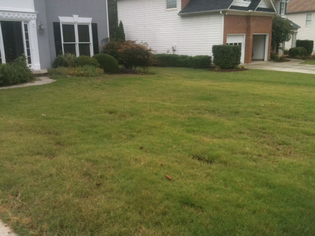 i need some serious advice on how to salvage my lawn my lawn guy said we haven t, gardening, landscape, outdoor living, plumbing, The entire lawn from the front