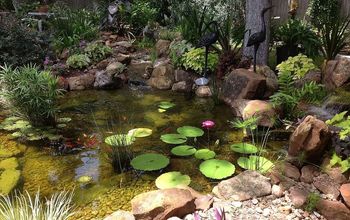 Charming backyard water garden in Richmond, TX features a constructed wetlands filter that adds an additional waterfall.