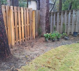ideas for landscaping along a backyard fence