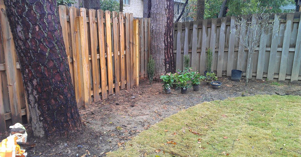 Ideas for landscaping along a backyard fence? | Hometalk