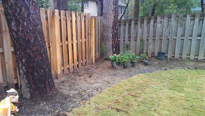 ideas for landscaping along a backyard fence