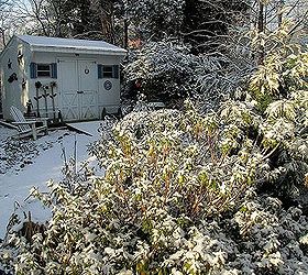 january winter garden, outdoor living, seasonal holiday decor, path to the garden shed
