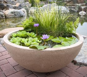 container water gardens, container gardening, gardening, ponds water features, This patio pond is available at