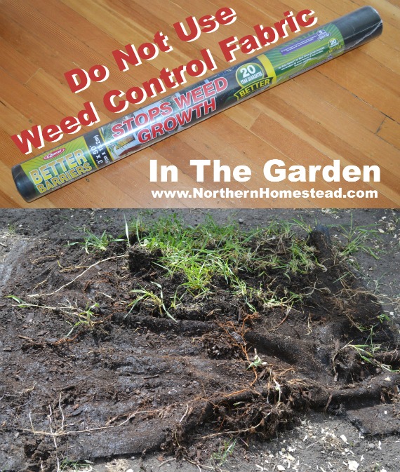 como fica o tecido de controle de ervas daninhas depois de anos no jardim