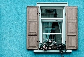 clean your window screens, cleaning tips, home maintenance repairs, windows
