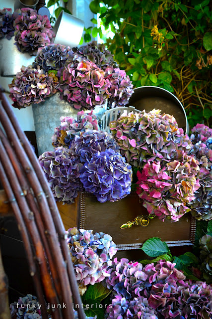 a dresser filled with hydrangeas, flowers, gardening, hydrangea, repurposing upcycling, I just adore all the colours hydrangeas achieve in the fall