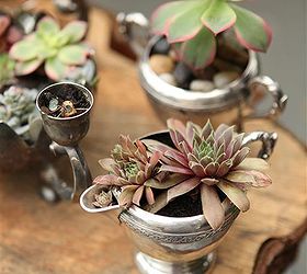 garden recycling projects, container gardening, crafts, gardening, mason jars, succulents, succulents in vintage silver