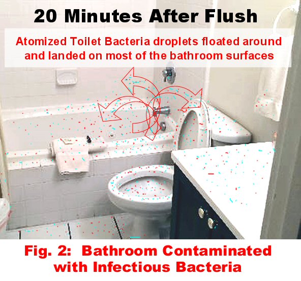 an easy way to stop toilets from contaminating bathrooms with infectious bacteria, bathroom ideas, cleaning tips