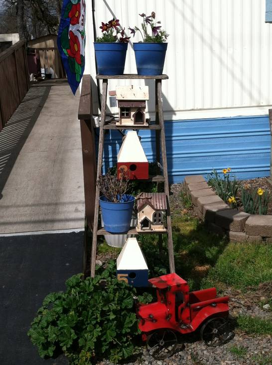 creative ladder, gardening, repurposing upcycling, over fifty year old ladder I wanted to jazz up