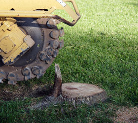 the benefits of removing the stumps in your yard, landscape