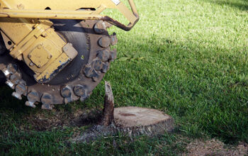 The Benefits of Removing the Stumps in Your Yard