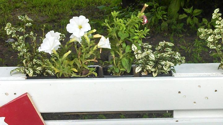 recicle e reutilize pequenos paletes, Eu aparafusei uma ripa de palete na parte inferior da cerca para segurar minhas flores plantas
