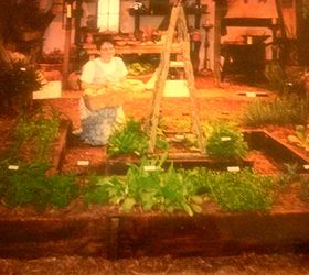 what is a master gardener anyway, flowers, gardening, landscape, outdoor living, Me a million years ago at SE Flower Show booth with some plants grown via Master Gardeners and GardenSmith Green house and nursery