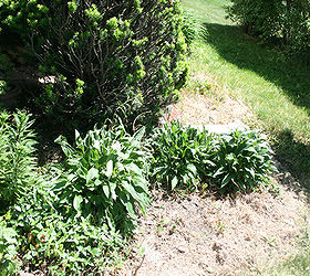 front yard before and after, flowers, gardening, Front flower bed right side before
