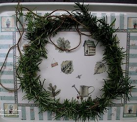 make a fresh rosemary wreath, crafts, home decor, seasonal holiday decor, wreaths, Finished wreath ready for a burlap bow http ourfairfieldhomeandgarden com diy project make a fresh rosemary wreath