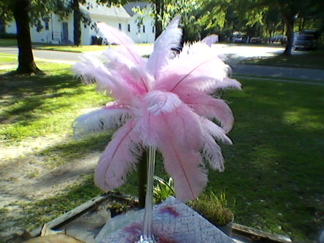 ostrich feathers used for centerpiece, crafts