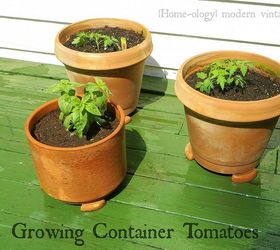 growing container tomatoes in six easy steps, container gardening, gardening, Your list includes pots 12 in diameter or larger a used dryer sheet potting soil compost slow release fertilizer optional tomatoes