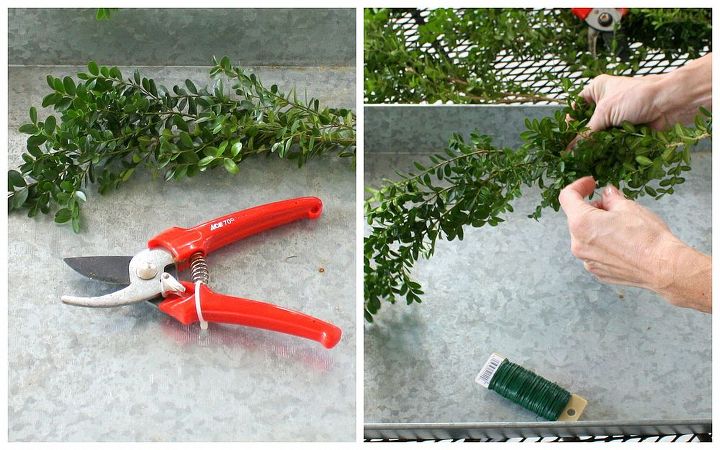 diy boxwood mini wreaths, crafts, seasonal holiday decor, Instructions 1 Using your clippers cut fresh boxwood clippings 2 Try to get a long strand or you can attach two boxwood pieces together with the florist wire 3 Tie both branch ends together making a circle