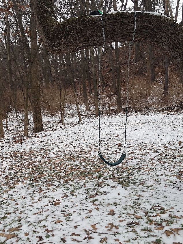 winter walk in the woods, outdoor living, Just hanging around waiting for the kids and spring