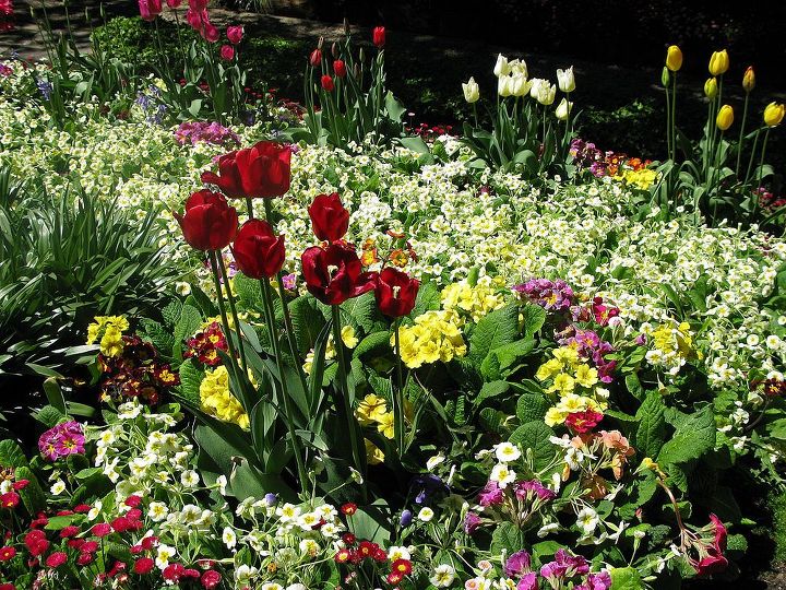 leura garden festival kicks off this weekend i can t wait, flowers, gardening
