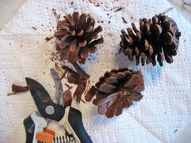 mi corona de navidad arpillera y tela escocesa con rosas de cono de pino, Las instrucciones para hacer las rosas de pi a est n en mi blog