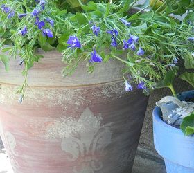 creating the look of vintage french flower pots how to, chalk paint, flowers, gardening, painting, repurposing upcycling