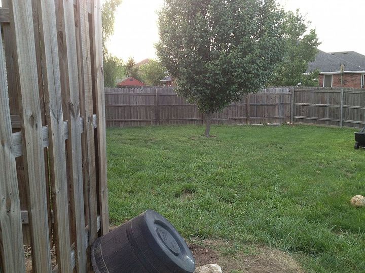 q backyard help needed, gardening, landscape, This is looking left with the patio behind me