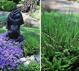 garden tour a beautiful tapestry, flowers, gardening, A close up of the mounded focal point of the garden in the third image