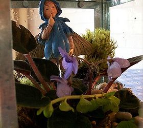 indoor gardening time, crafts, gardening, home decor, terrarium, Made a little Fairy Garden using an IKEA Lantern and tray Fun simple and inexpensive too