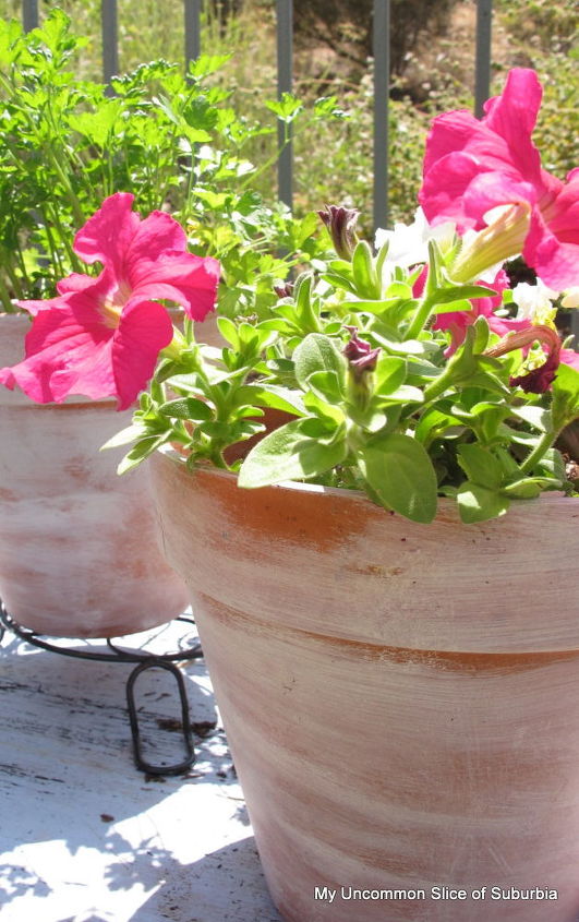 how to easily age terra cotta pots, crafts, gardening