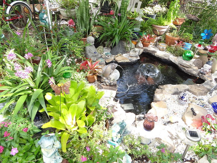 my pond, ponds water features