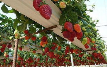 Recycled Gutters Into Strawberry Planters