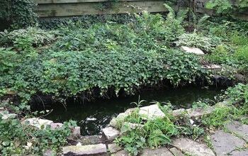 Renovación del estanque en el lado sur de Chicago: Estanque instalado por Gem Ponds