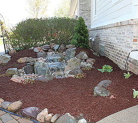 ecosystem ponds, go green, ponds water features, The after picture shows the transformation that occurred at this Ann Arbor MI home