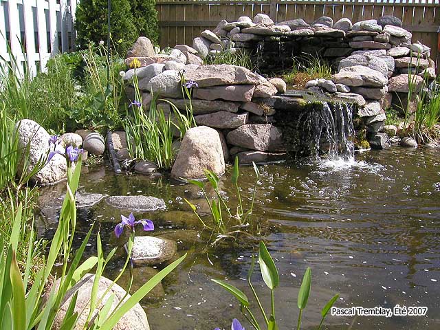 instrucciones para la construccin de un estanque en el jardn o patio trasero, Estanque Cascada y Jard n Acu tico Instrucciones de construcci n