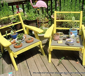 when is a chair not a chair, gardening, outdoor furniture, outdoor living, painted furniture, repurposing upcycling, succulents, The chairs are hosts to succulents and hostas There were more hostas but we ve had so much rain that they did not fare well