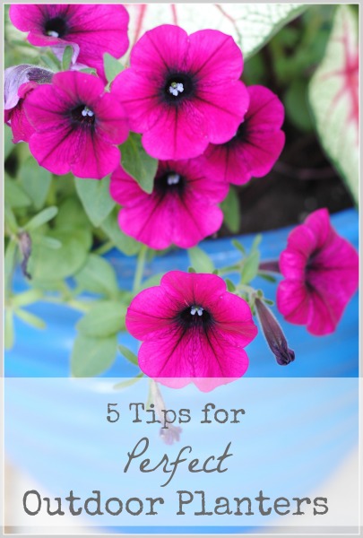 top home projects of 2013, crafts, home decor, Do you know how to make your planter lighter and save tons of money on potting soil Here s 5 tips to rock your gardening world this spring
