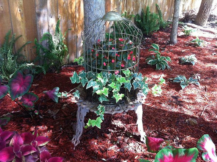 repurposing, gardening, repurposing upcycling, The final product in the garden It loves the dappled sunlight