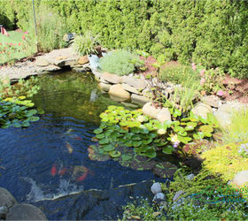 ecosystem pond ideas, go green, ponds water features, Ecosystem Fish Pond Palisades Park NJ