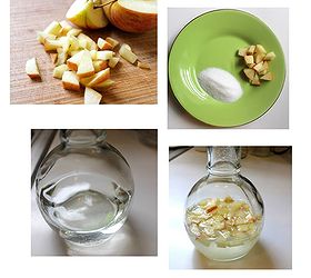 shaker bottle fruit fly trap, pest control, repurposing upcycling, Those pesky flies love Apple Cider Vinegar or regular vinegar and diced apples