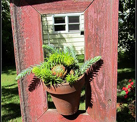 framing succulents, flowers, gardening, succulents, This is my copycat I put a nail in the bottom part of the frame leaving half of the nail sticking out to insert in the terra cotta pot hole to balance it on the frame