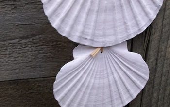Beautiful Hanging Shells.