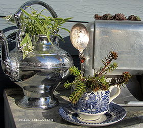 tea and toast on the front patio, gardening, repurposing upcycling, The outdoor vignette was completed with a chrome tea pot and Frosty Knight alyssum and a Blue Willow tea cup and Angelina sedum