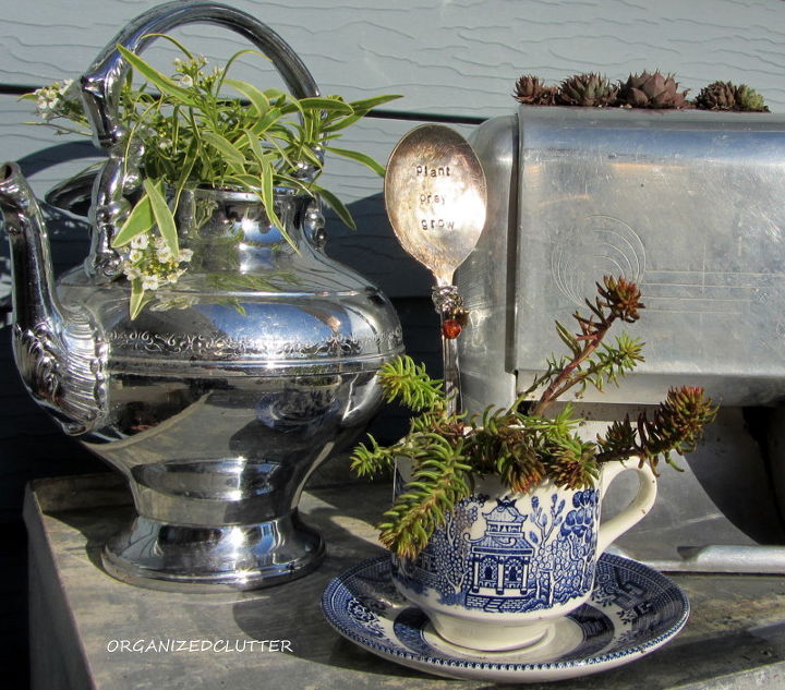 tea and toast on the front patio, gardening, repurposing upcycling, The outdoor vignette was completed with a chrome tea pot and Frosty Knight alyssum and a Blue Willow tea cup and Angelina sedum