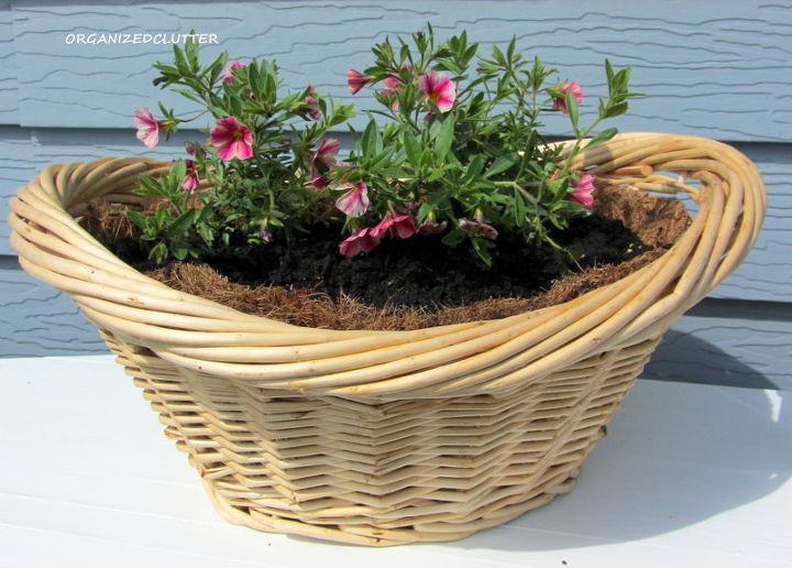 pressing garden matters, container gardening, gardening, outdoor living, I used a laundry basket shaped container for the Rose Star Calibrachoa
