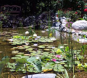 water gardens ponds and water features in oklahoma, landscape, outdoor living, ponds water features, Large Backyard Pond