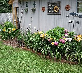 gardening in central mississippi 2013, flowers, gardening, hydrangea, outdoor living, raised garden beds, First flower bed I created when we moved 4 years ago That s my new greenhouse my husband built for me last year in the background